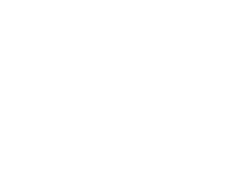 Fenton Wealth Management Logo